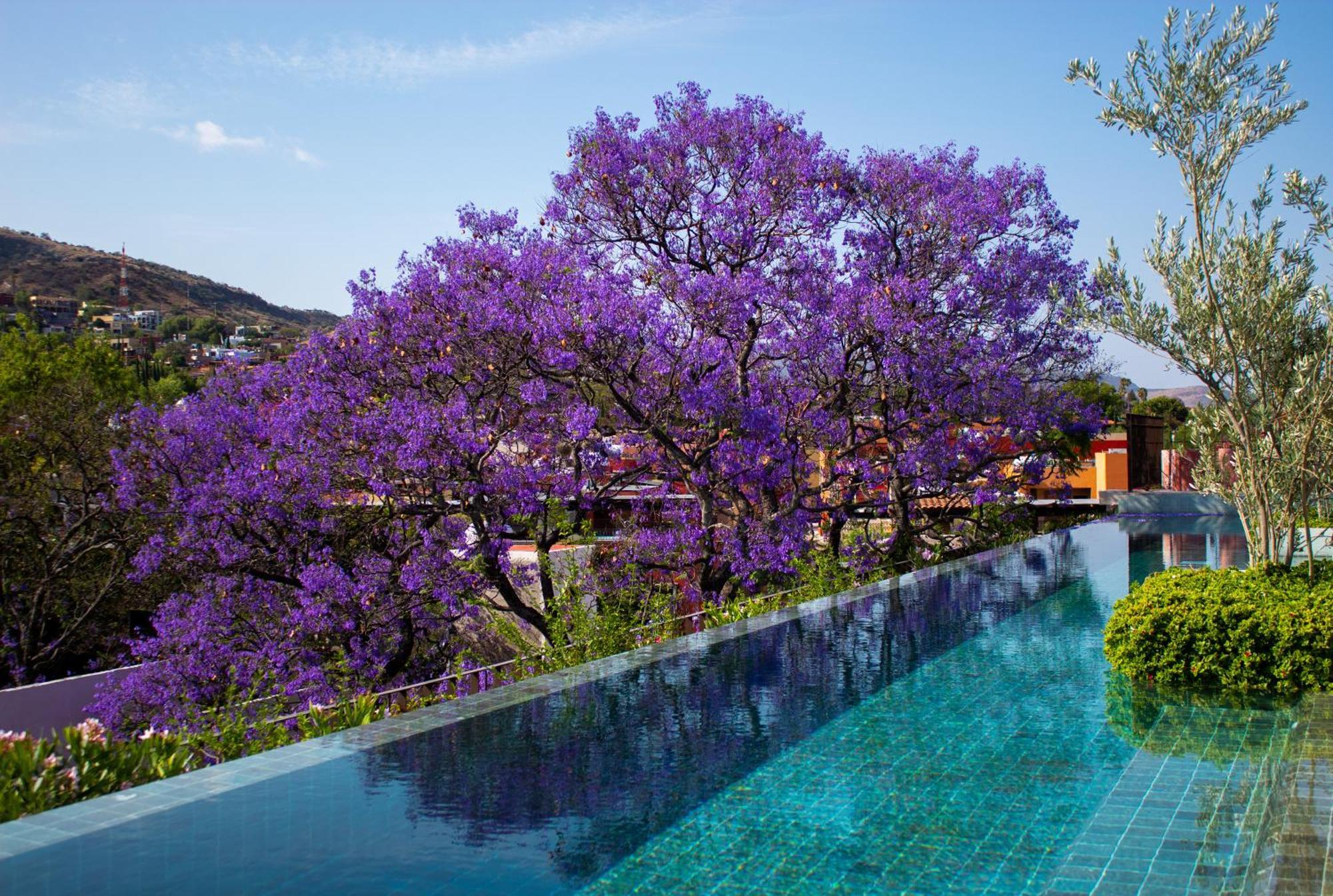 numu-boutique-hotel-the-unbound-collection-by-hyatt-san-miguel-de
